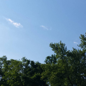 女人与拘做受啪啪站
