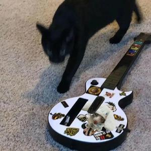 女人与拘做受啪啪站
