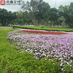 女人与拘做受啪啪站
